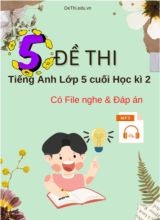Bộ 5 Đề thi tiếng Anh Lớp 5 cuối Học kì 2 (Có File nghe + Đáp án)